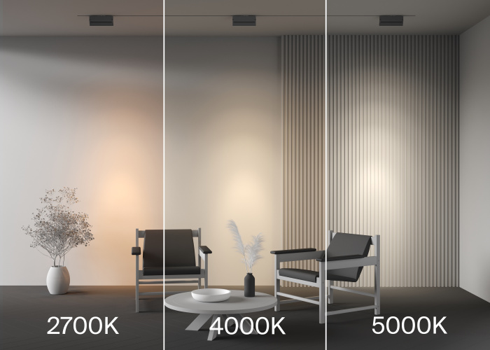 Трековый светильник Maytoni Points Rot TR224-1-12WCCT-M-B