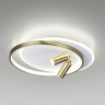 Потолочный светодиодный светильник Lumion Naoko 5603/63CL