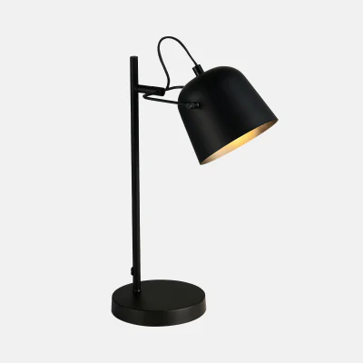 Настольный светильник evoluce BLANK SLE1805-404-01