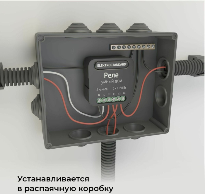 Умное двухканальное реле Elektrostandard 4690389185083
