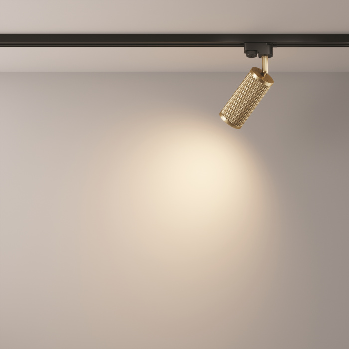 Трековый светильник Maytoni Focus Design TR011-1-GU10-G