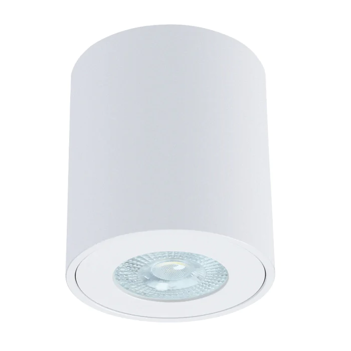 Светильник точечный накладной со сменной лампой Arte Lamp TINO A1469PL-1WH