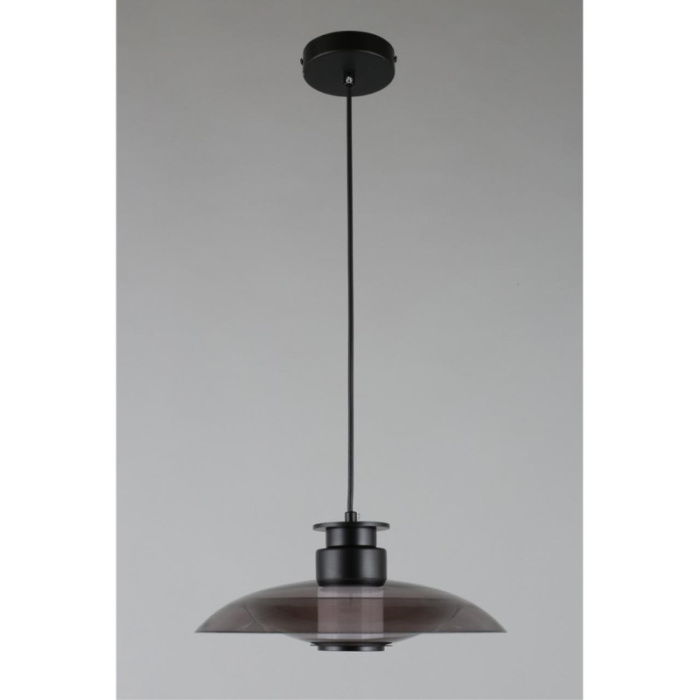 Светильник подвесной Aployt Stefa APL.648.06.10