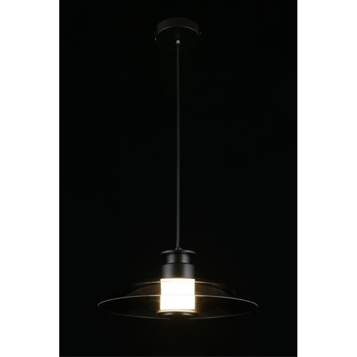 Светильник подвесной Aployt Stefa APL.648.06.10