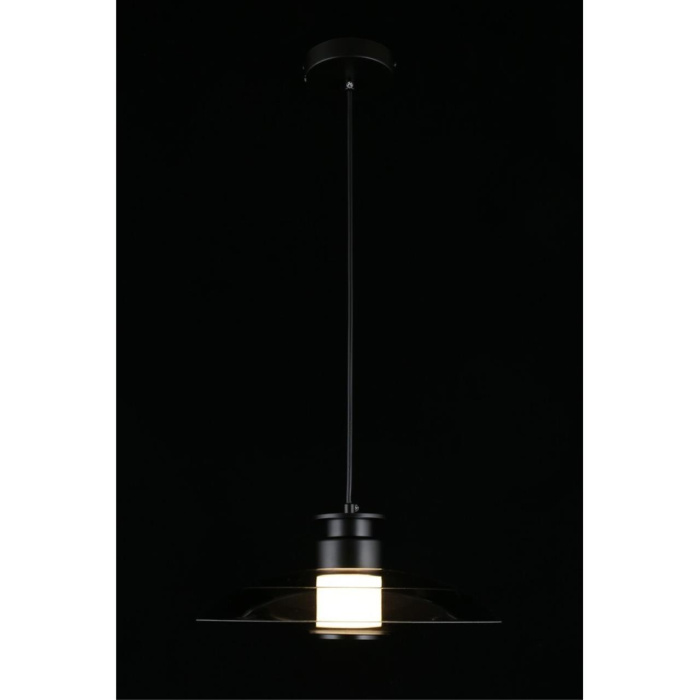 Светильник подвесной Aployt Stefa APL.648.06.10