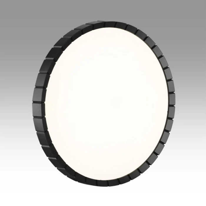 Настенно-потолочный светильник Сонекс Pale Atabi Black 7649/DLN
