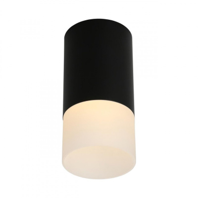 Светильник накладной Omnilux Lucido OML-100619-01