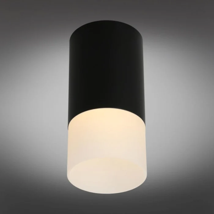 Светильник накладной Omnilux Lucido OML-100619-01