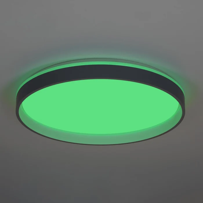 Потолочный светильник Citilux Enzo CL753513G