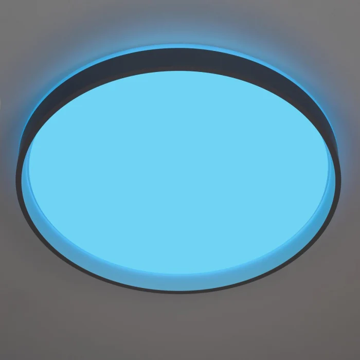 Потолочный светильник Citilux Enzo CL753513G