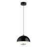 Подвесной светильник Lumion Globe 6568/6L