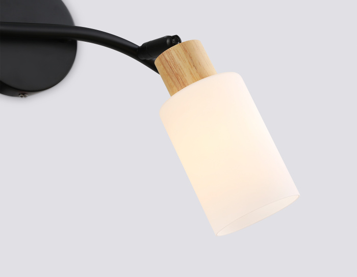 Настенно-потолочный спот в стиле лофт AMBRELLA light TR8721