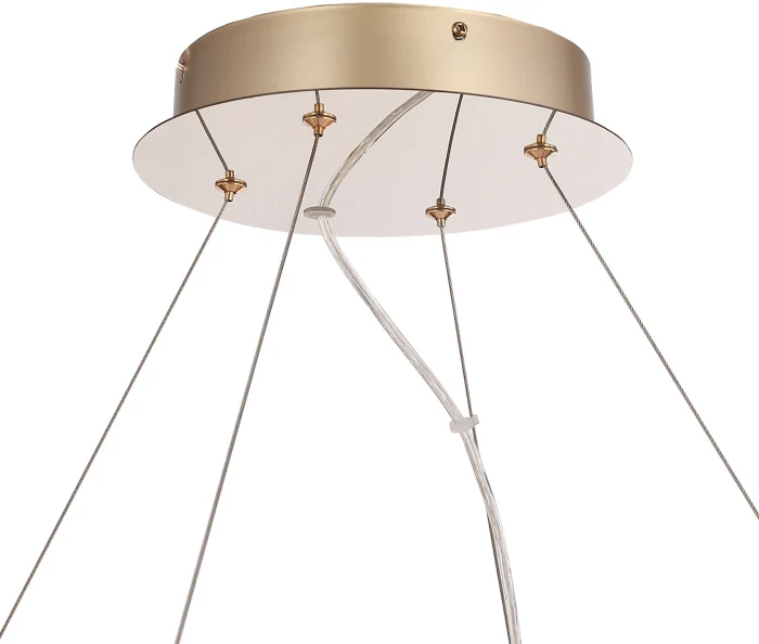 Подвесная люстра ST Luce Lightsome SL6135.223.01