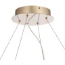 Подвесная люстра ST Luce Lightsome SL6135.223.01