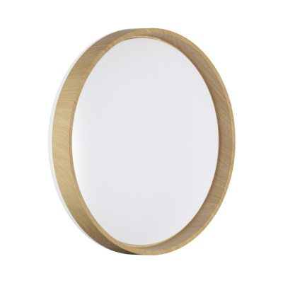 Настенно-потолочный светильник СОНЕКС BASICA 7684/DLN