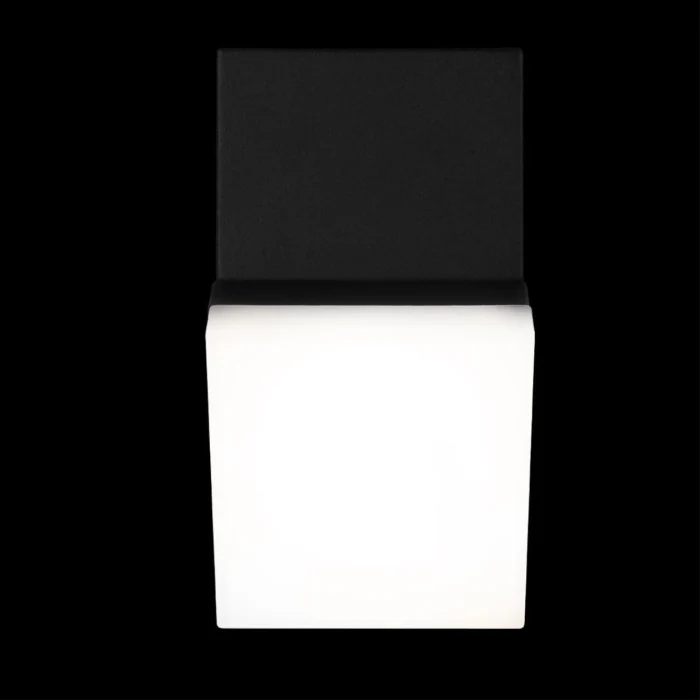 Уличный настенный светильник Loft it Eterno 100010/A