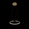 Светильник подвесной Loft it Ring 10014S