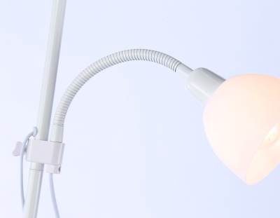 Светильник напольный с выключателем на проводе Ambrella light TR97622