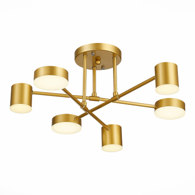 Светильник потолочный SLE201022-06 EVOLUCE