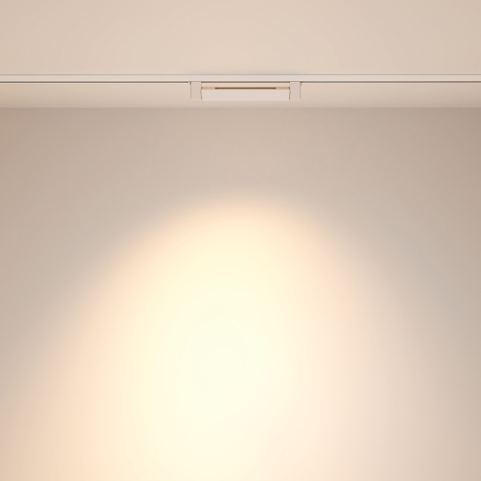 Трековый светильник Maytoni Points Rot TR010-1-10W4K-M-W