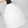 Потолочная люстра ImperiumLoft Flan 101588-26