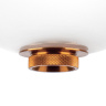 Подвес Colore Lightstar 805402