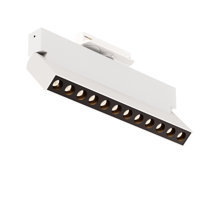 Трековый светильник Maytoni Points Rot TR224-1-12WCCT-M-W