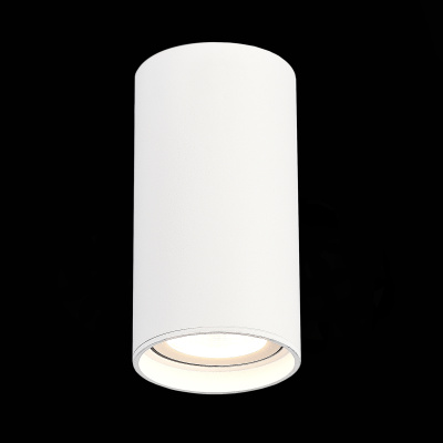 Накладной светильник ST LUCE ST157.532.15