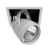 Встраиваемый светильник Arte Lamp CARDANI A1618PL-1WH