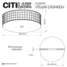 Потолочный светильник Citilux Портал CL324151