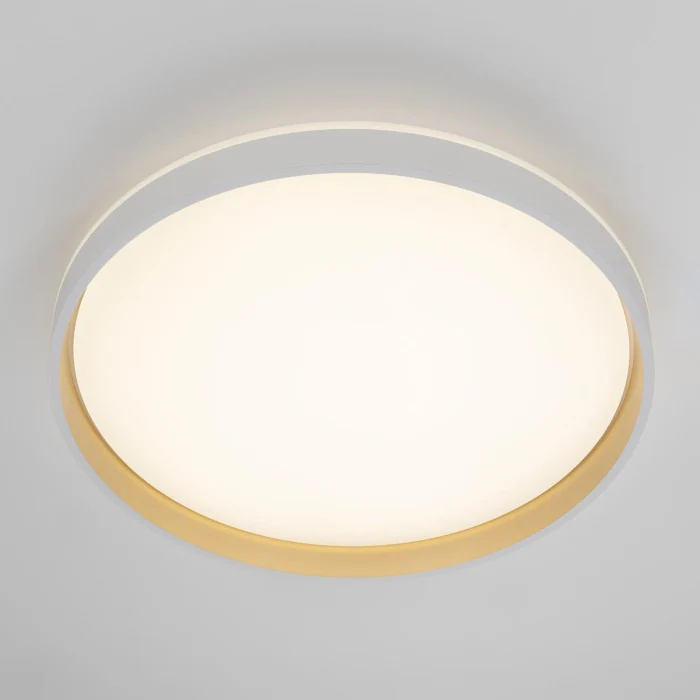 Потолочный светильник Citilux Enzo CL753510G