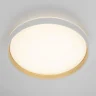Потолочный светильник Citilux Enzo CL753510G