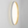 Потолочный светильник Citilux Enzo CL753510G
