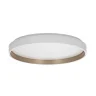 Потолочный светильник Citilux Enzo CL753510G