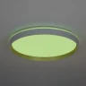 Потолочный светильник Citilux Enzo CL753510G