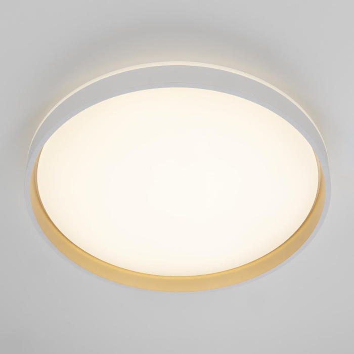 Потолочный светильник Citilux Enzo CL753510G