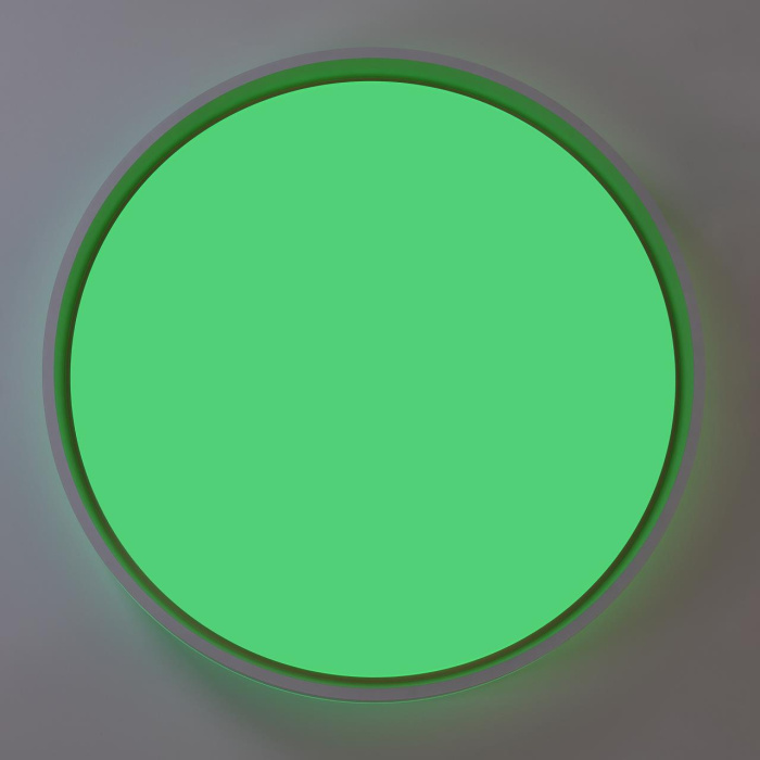 Потолочный светильник Citilux Enzo CL753510G