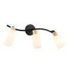Настенно-потолочный спот в стиле лофт AMBRELLA light TR8722