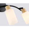 Настенно-потолочный спот в стиле лофт AMBRELLA light TR8722