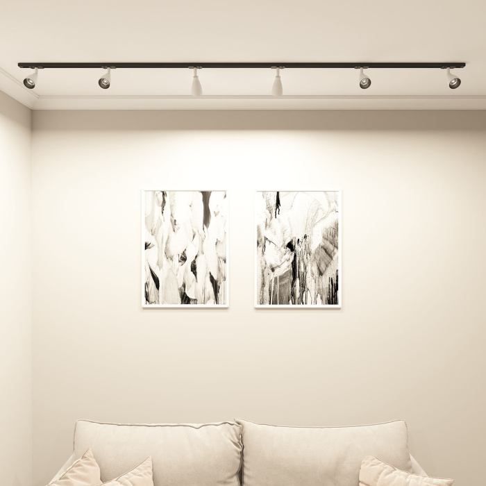 Светильник на шине Denkirs BELL DK6050-BW+BK