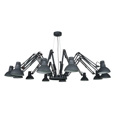 Подвесная люстра Arte Lamp Ragno A2043SP-12BK