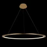 Подвесной светильник Loft it Ring 10014XL
