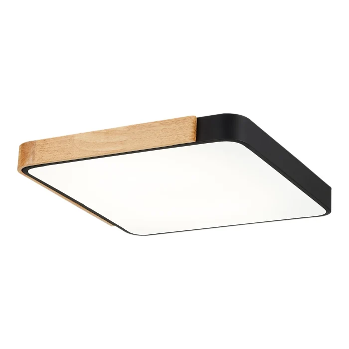 Светильник потолочный SLE201242-01 EVOLUCE