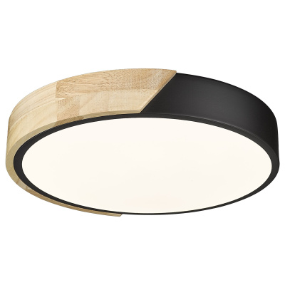 Потолочный светильник 445-607-01 VELANTE