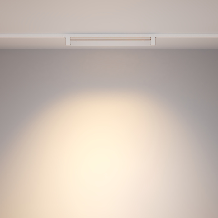 Трековый светильник Maytoni Points Rot TR010-1-20W3K-M-W