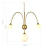 Настенный светильник ST LUCE VIVE SL1187.201.03