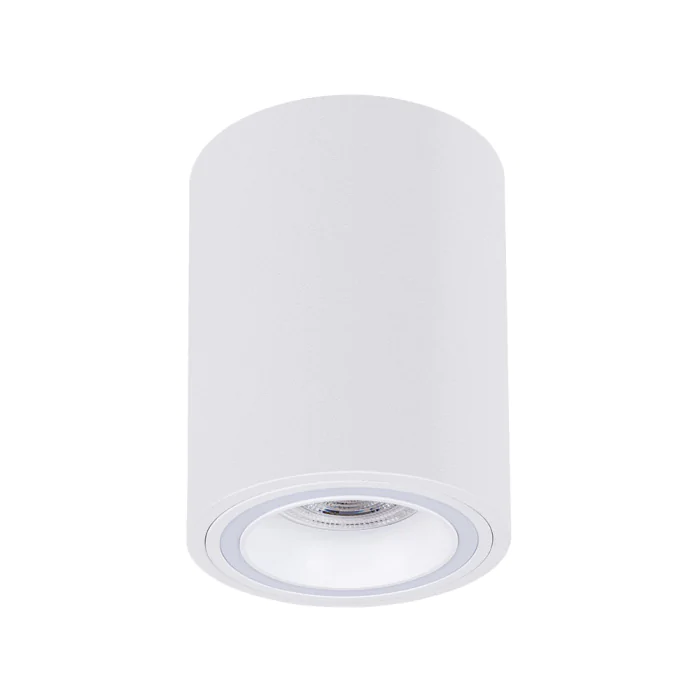 Накладной светильник Arte Lamp IMAI A2267PL-1WH