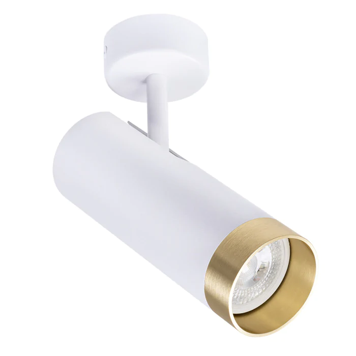 Светильник точечный накладной со сменной лампой Arte Lamp TOPIC A2357PL-1WH