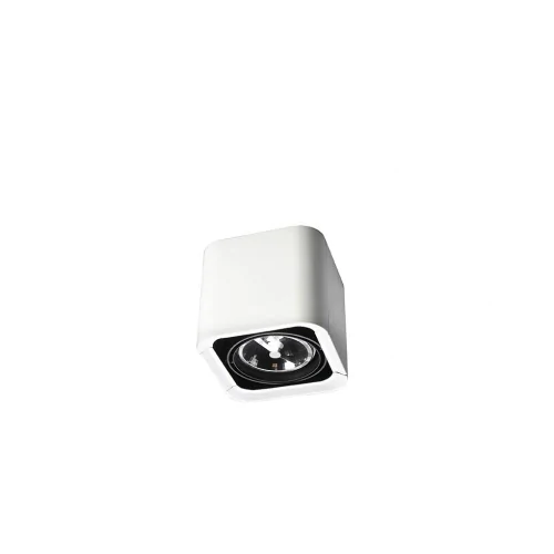 Потолочный светильник Leds C4 BACO DM-1150-14-00
