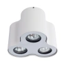 Накладной светильник Arte Lamp FALCON A5633PL-3WH